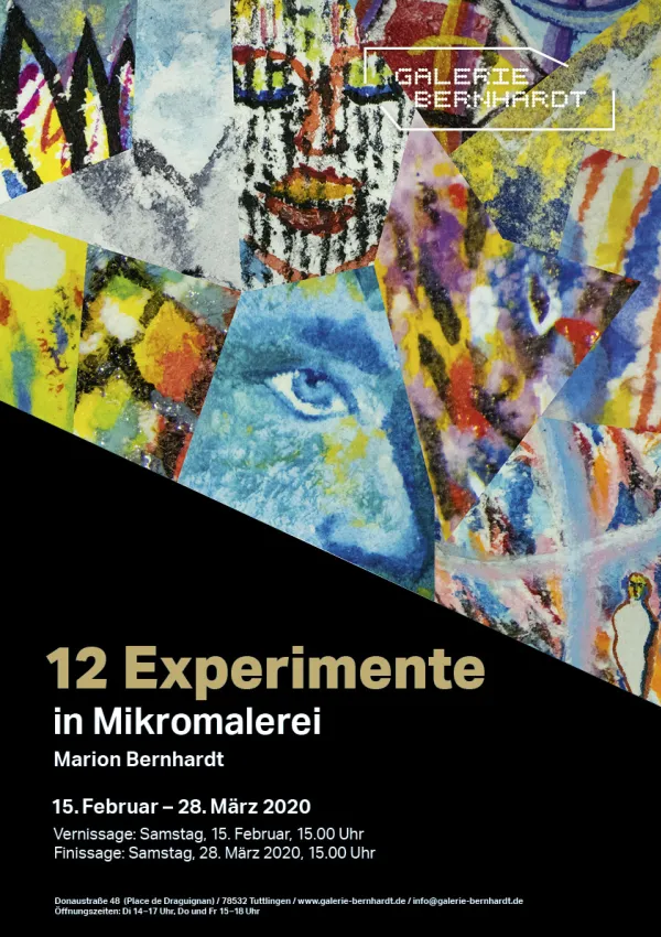 12 Experimente in Mikromalerei
